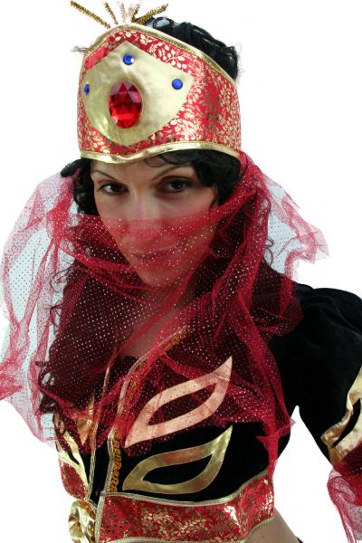 Orientalische Bauchtänzerin Kostüm K8