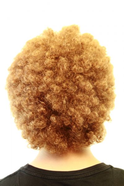 Perücke Afro braun Modell: GFW406