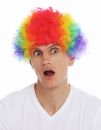 Perücke Afro regenbogen bunt Clown kraus Locken Modell: MMAM-15M-CLOWN